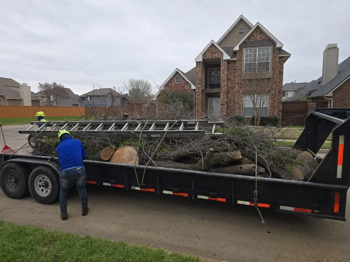 Expert Tree Removal with proper safety equipment in Taiban